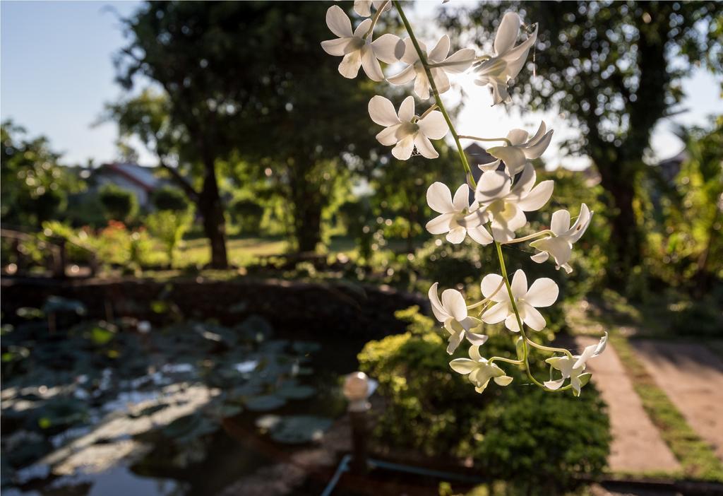 Xuanmai Garden Resort Pakse Exterior foto